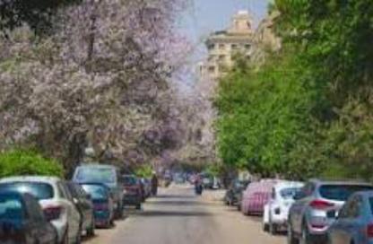 Apartment - 3 Bedrooms - 2 Bathrooms for sale in Street 9 - Maadi - Hay El Maadi - Cairo