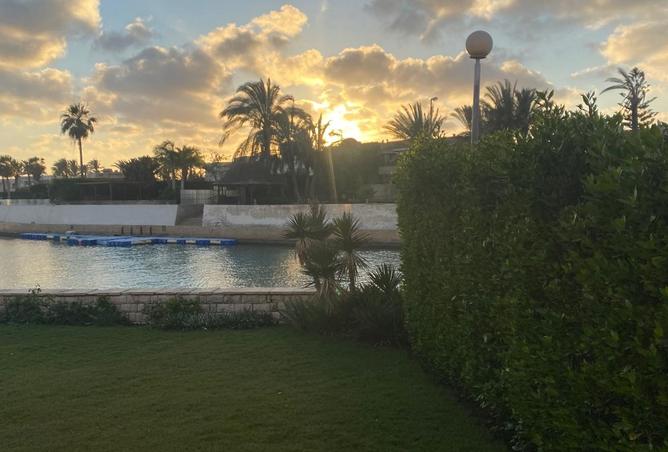 81048766 - صورة العقار 2