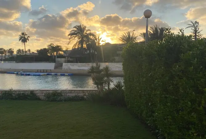 81048766 - صورة العقار 2