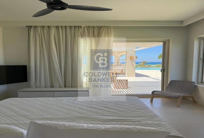 65667877 - صورة العقار 3