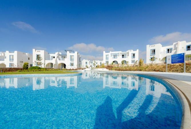 103481246 - Property Image 3
