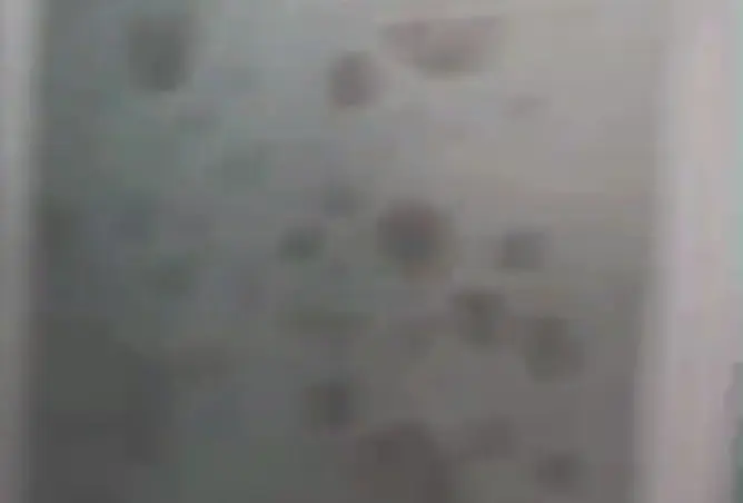 110735755 - صورة العقار 3