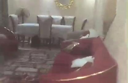 شقة - 3 - 2 للايجار في بيت المصرية - حدائق اكتوبر - مدينة 6 أكتوبر - الجيزة