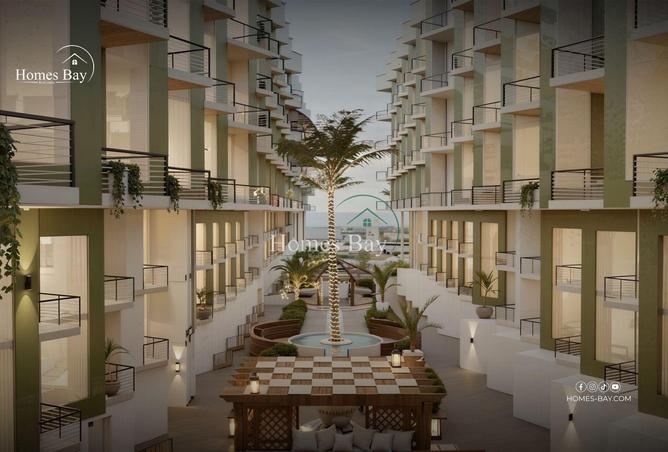 55756870 - Property Image 3