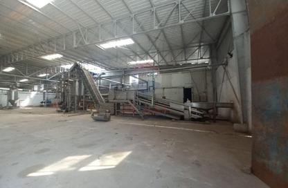 مصنع - استوديو للبيع في نيو جيزة - طريق مصر اسكندرية الصحراوي - مدينة 6 أكتوبر - الجيزة