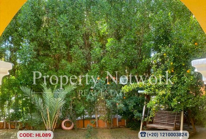 56495932 - Property Image 3