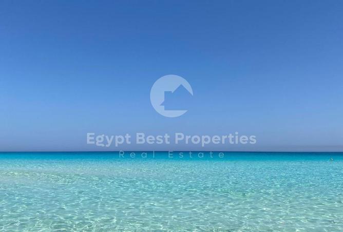 105457694 - Property Image 3