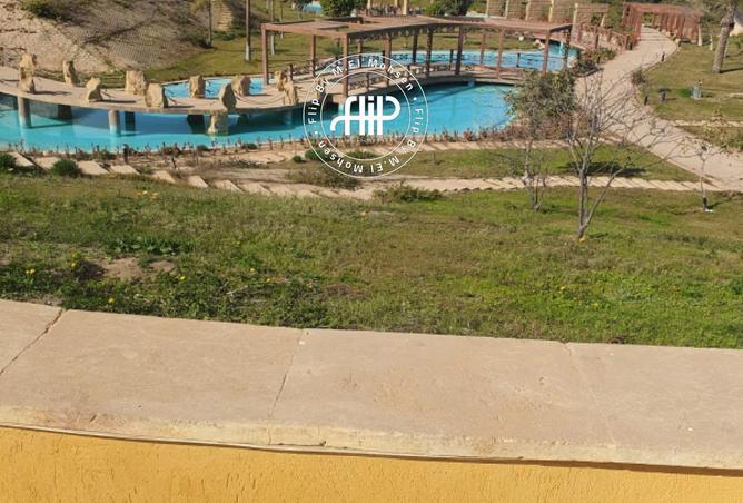 61445287 - صورة العقار 3