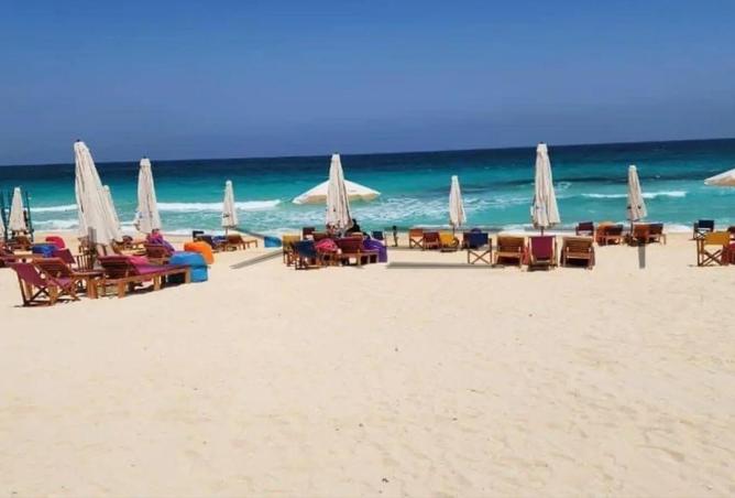 68534001 - Property Image 3