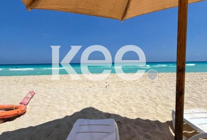 57243351 - Property Image 2