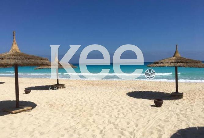 57243351 - Property Main Image