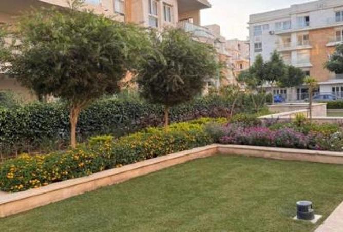 8254002 - صورة العقار 2