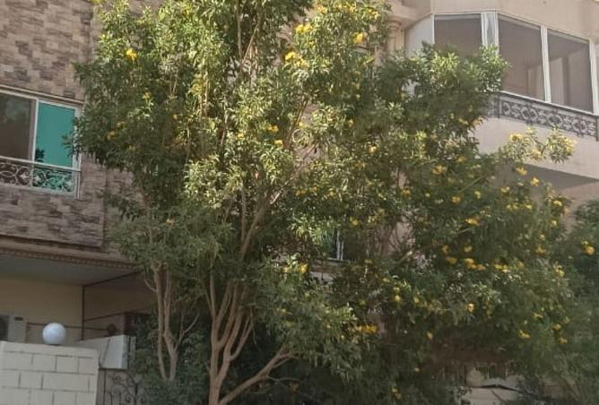 65148613 - صورة العقار 2