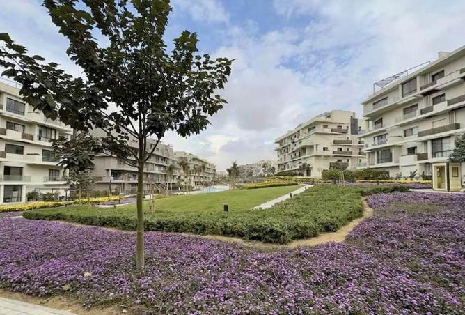 54239230 - Property Image 3