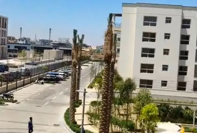 113263058 - صورة العقار 3