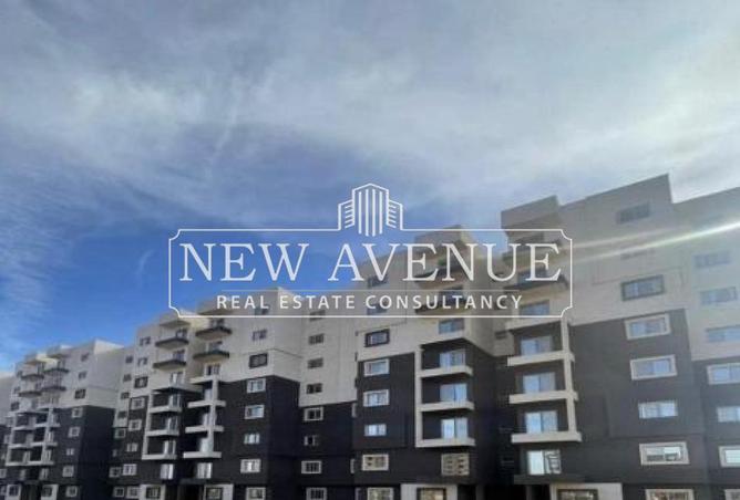 64135809 - Property Image 2