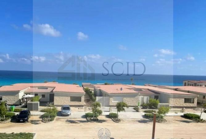 102079829 - Property Image 3