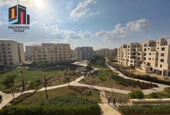 8404591 - صورة العقار 3