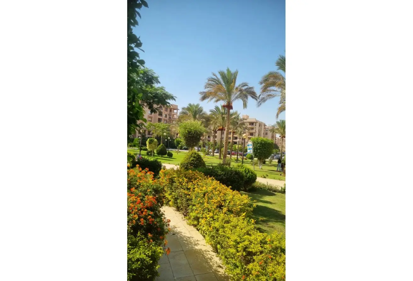 117780941 - الصورة الرئيسية للعقار