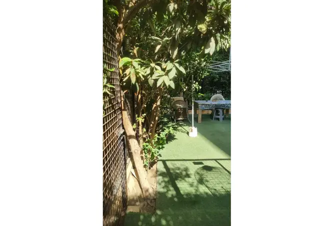 117780941 - صورة العقار 3