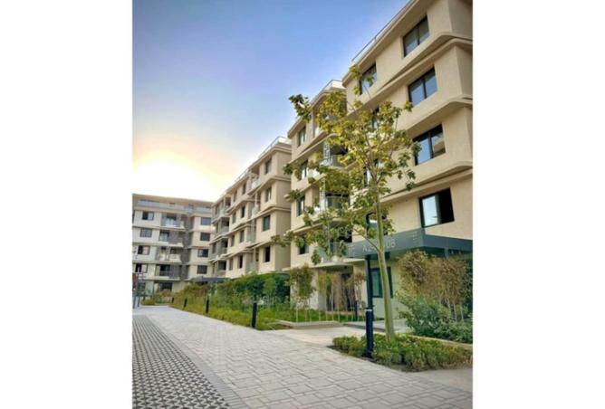 54246987 - Property Image 3