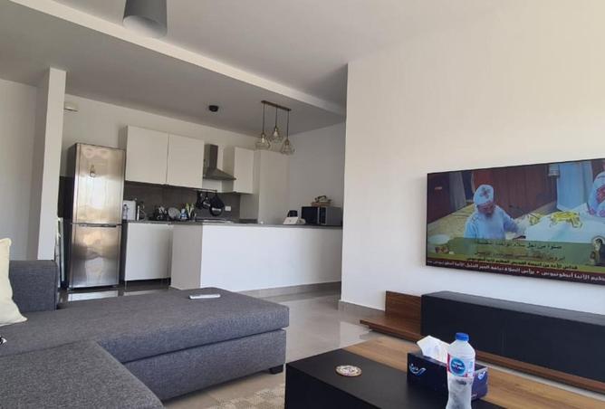 8583588 - Property Image 2