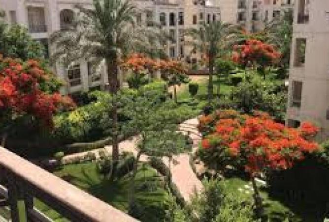 8593992 - صورة العقار 3