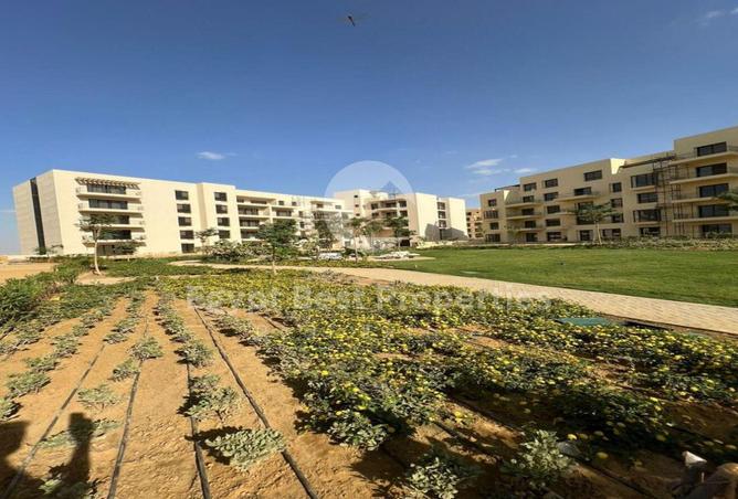 8586337 - Property Image 3