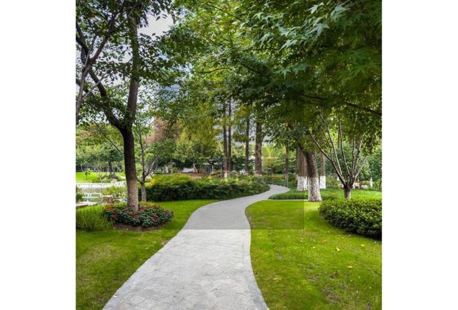 54503044 - Property Image 2