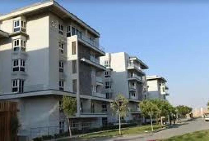 8589798 - Property Image 3