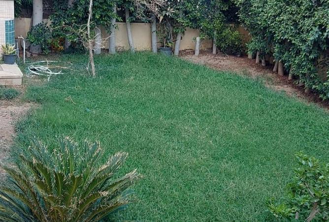 54492589 - صورة العقار 3