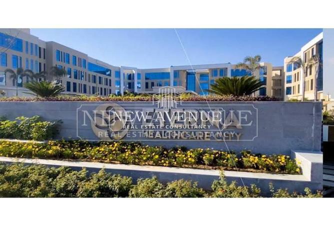 81571254 - Property Image 3