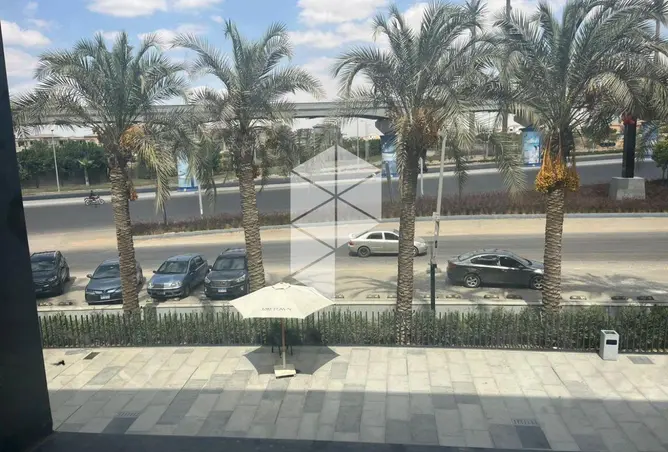115712623 - صورة العقار 3