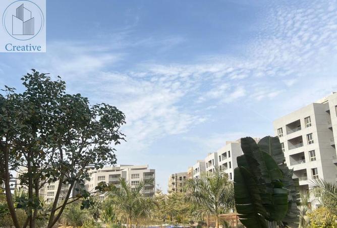 8586020 - صورة العقار 2