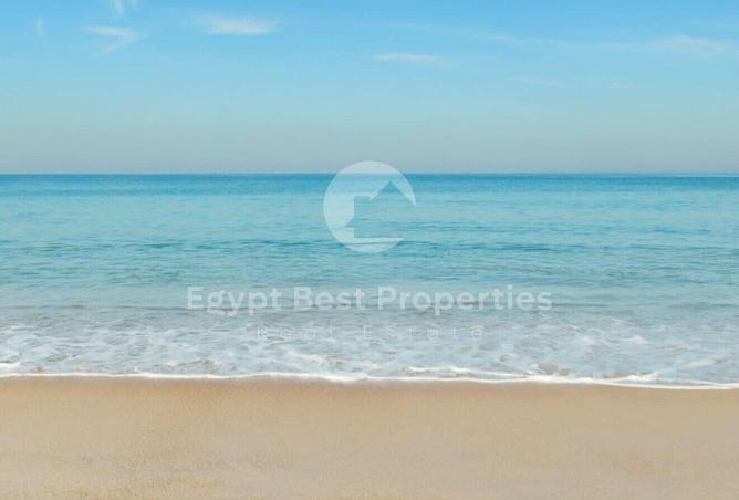 96866483 - Property Image 3