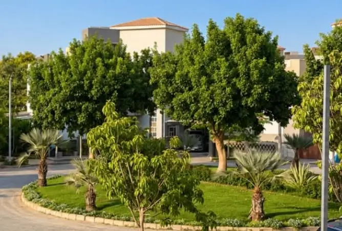 112701464 - صورة العقار 3