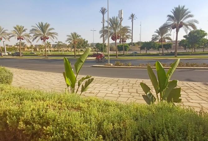 104047755 - صورة العقار 2