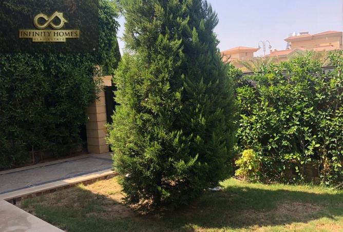 81050850 - صورة العقار 3