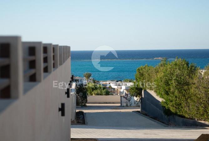 101784689 - صورة العقار 3