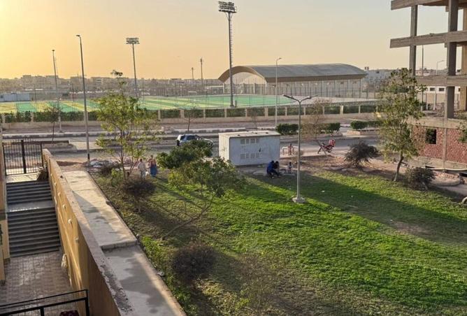 53725969 - صورة العقار 3