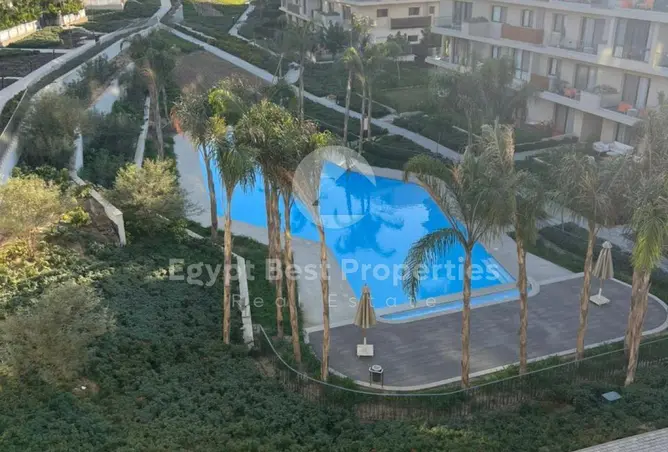 114899538 - Property Image 2