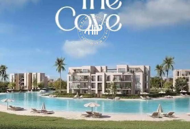 67741059 - Property Image 3