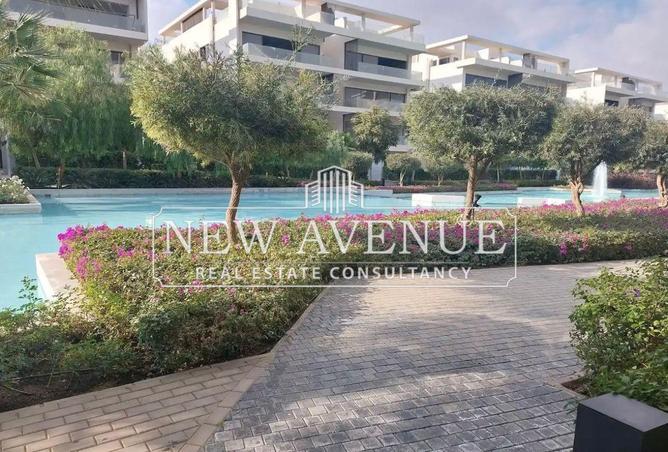 66963267 - Property Image 2