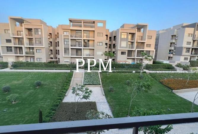 75397499 - Property Image 3