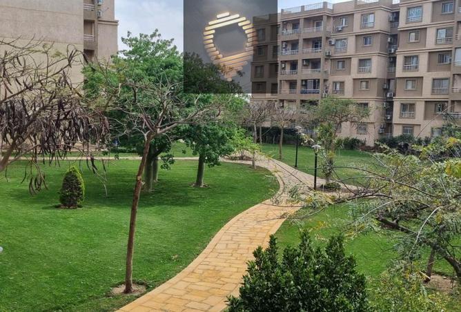 74309035 - صورة العقار 3