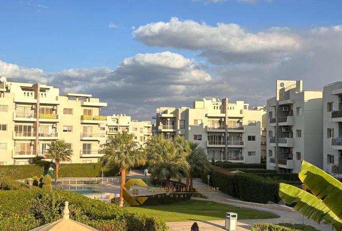 66703966 - Property Image 3