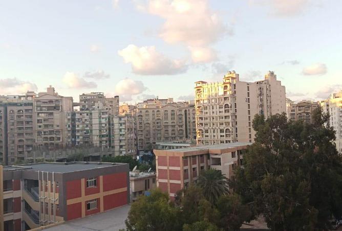 64905835 - Property Image 2