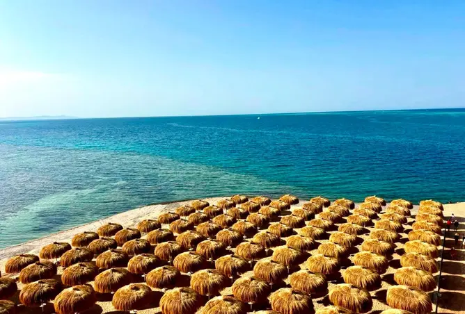 113264239 - صورة العقار 2