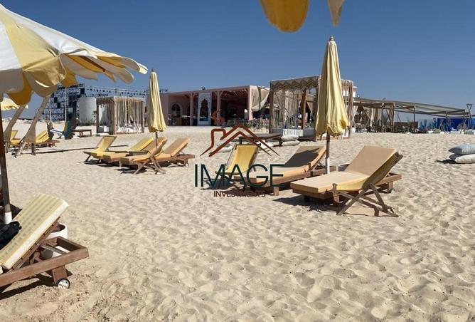 57251569 - Property Image 3