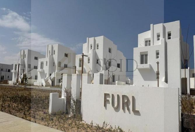 65166861 - Property Image 3